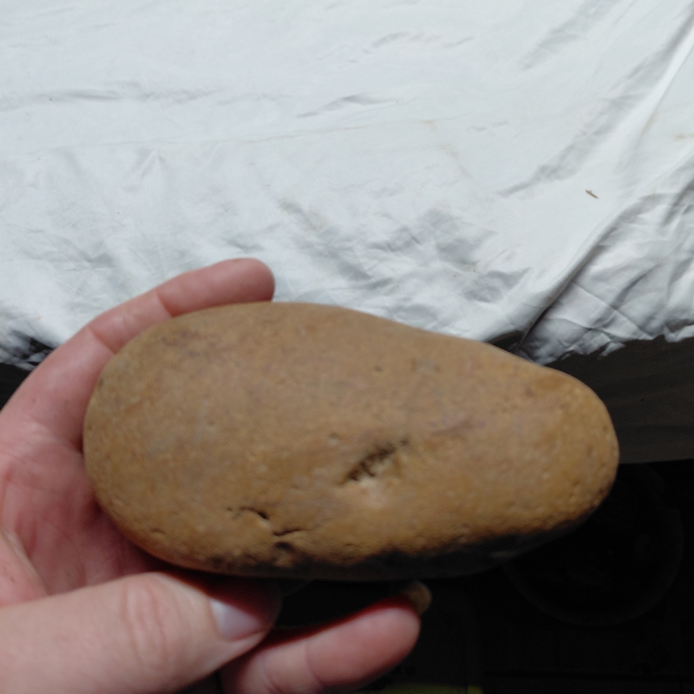 Natural Tan Reptile Habitat Stone